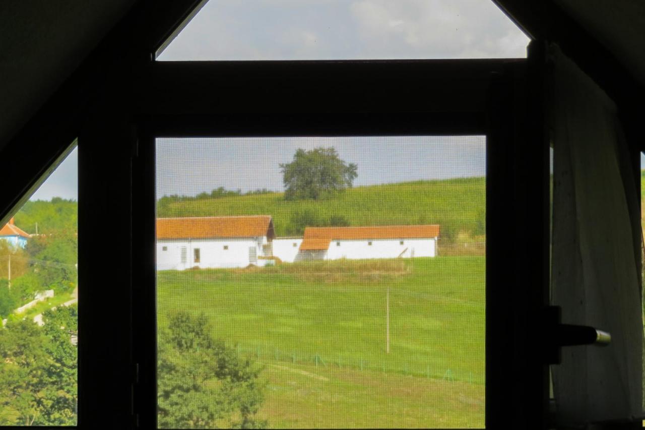 Eco Farm Milanovic Casa de hóspedes Despotovac Exterior foto