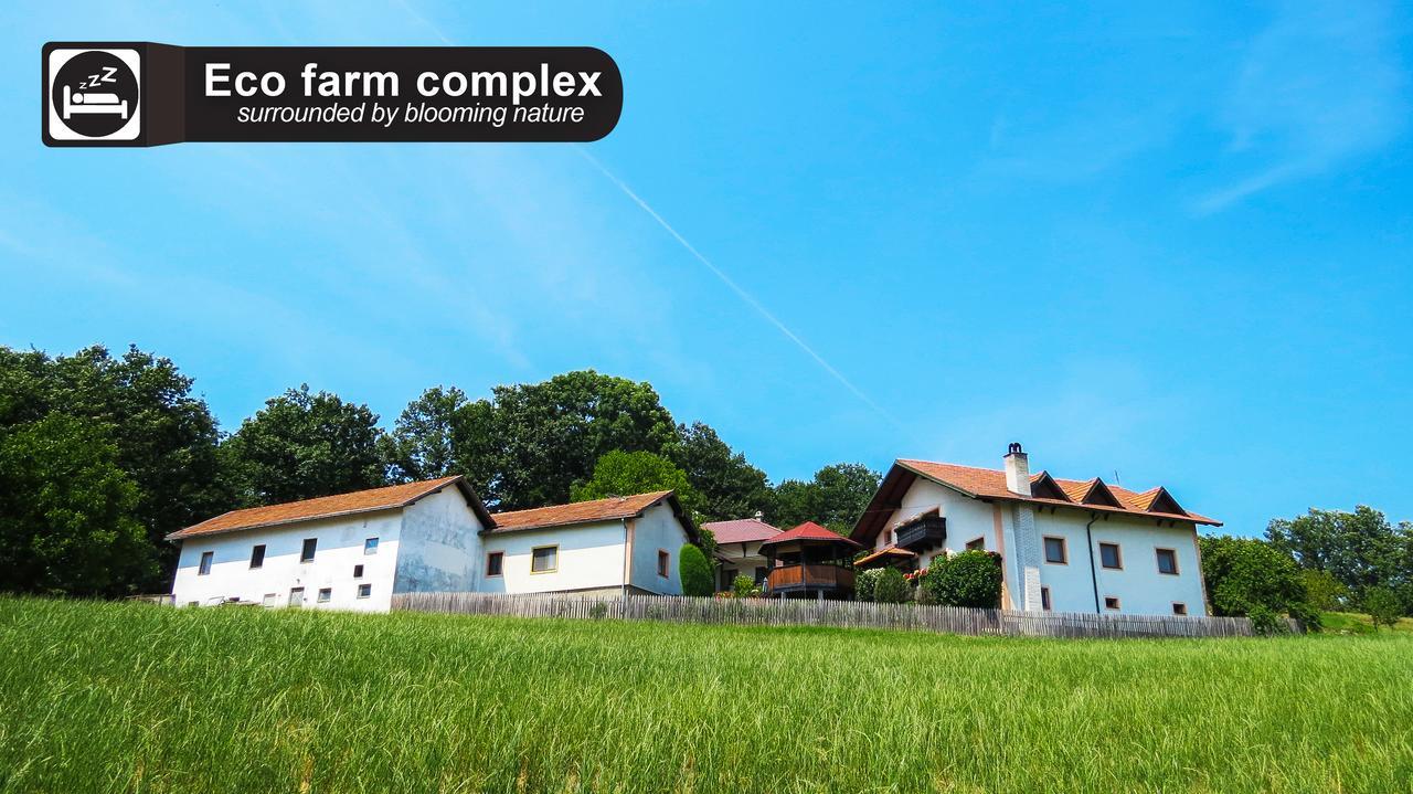 Eco Farm Milanovic Casa de hóspedes Despotovac Exterior foto