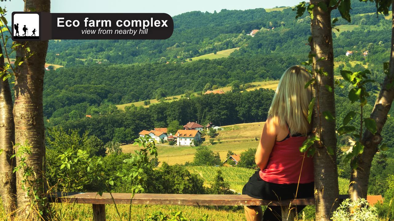 Eco Farm Milanovic Casa de hóspedes Despotovac Exterior foto