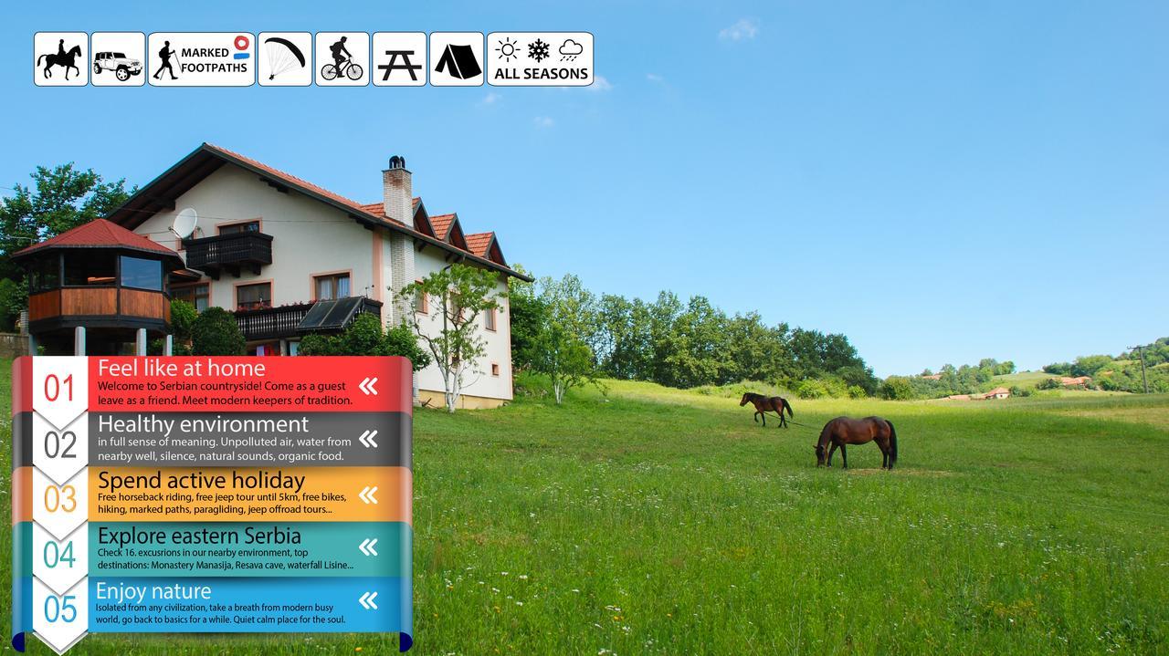 Eco Farm Milanovic Casa de hóspedes Despotovac Exterior foto